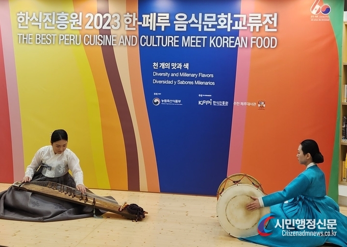  가야금 공연 