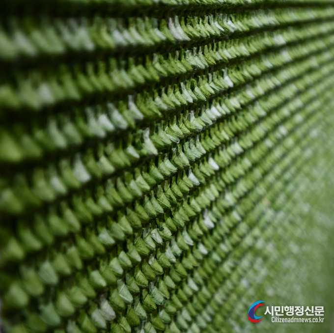 NATURE4 162.5* 112 hangi on canvas 2022