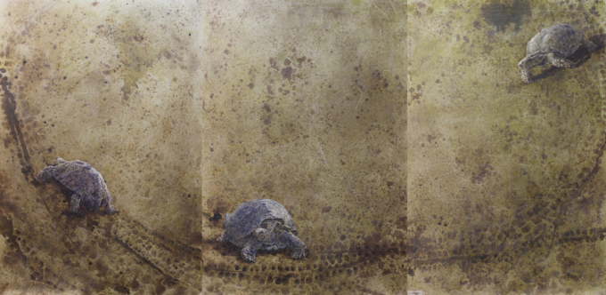  연대기적거북VII / oil on canvas / 162.2x336.3, 2020