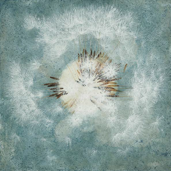 Éternité 3-1, 캔버스에 화선지 반죽, 먹, 아크릴, 100x100cm, 2020
