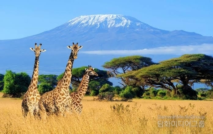 This picture is Serengeti national park taken during the grand animal migration. It takes place during begins around May-July.