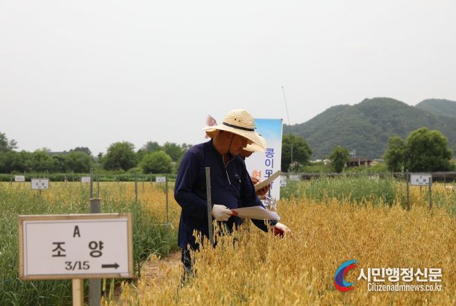 귀리 현장평가회