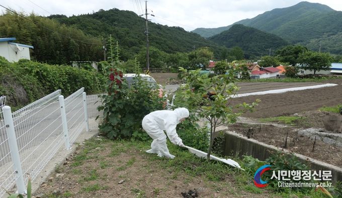 참진드기 채집