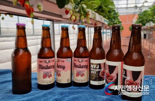 남양주시, 관내 주류제조업체와 손잡고 딸기맥주 협업 개발