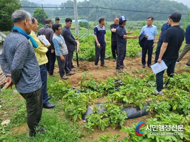 ‘골든에그’ 품평회
