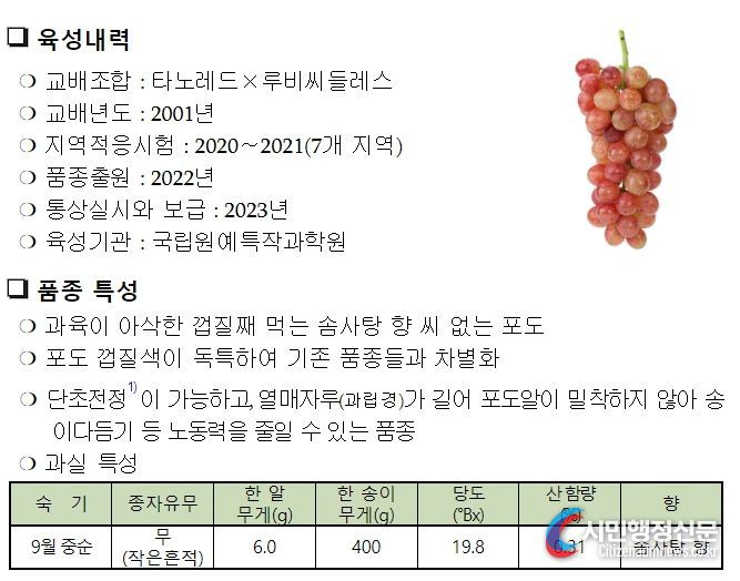 포도 ‘슈팅스타’ 특성