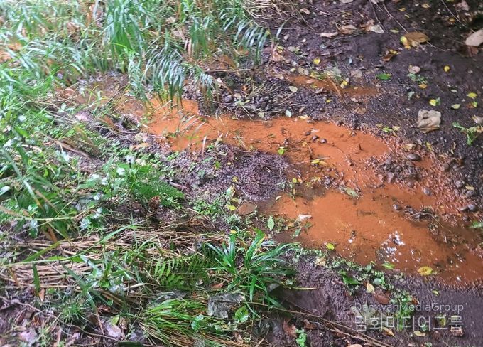 하천의 붉은 물 기름막 원인 “철박테리아”