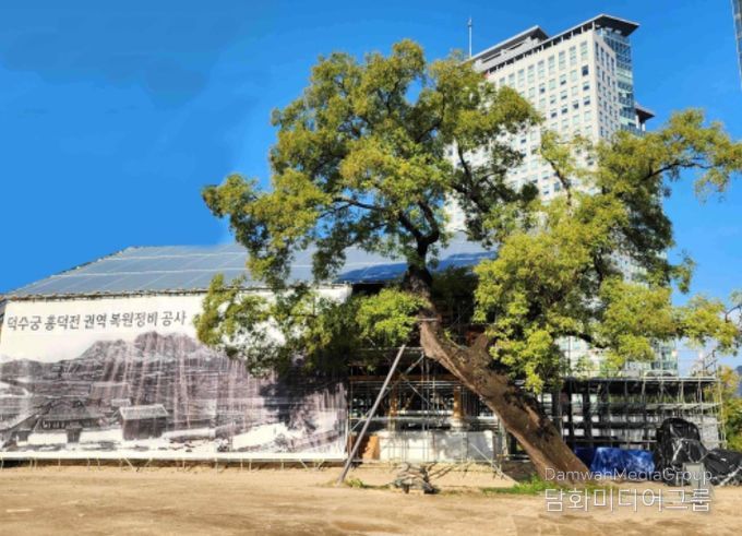 덕수궁 흥덕전 권역 복원현장 전경(2025년 4월)