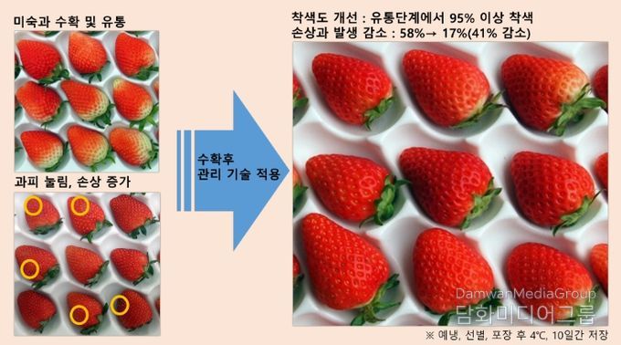실수확 후 관리기술