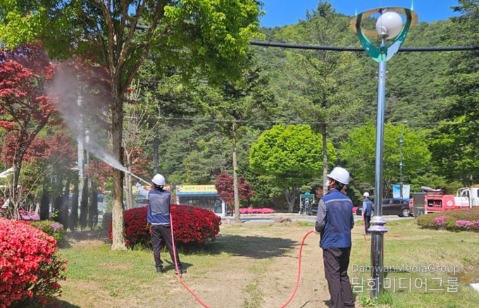 보은군, 2025년 산림병해충 대책본부 운영
