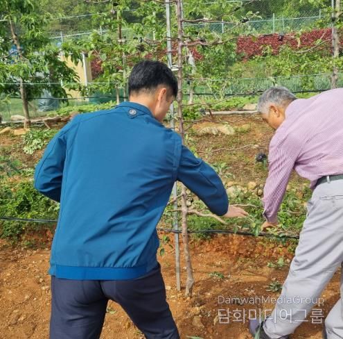 거제시 과수화상병 행정명령 확대