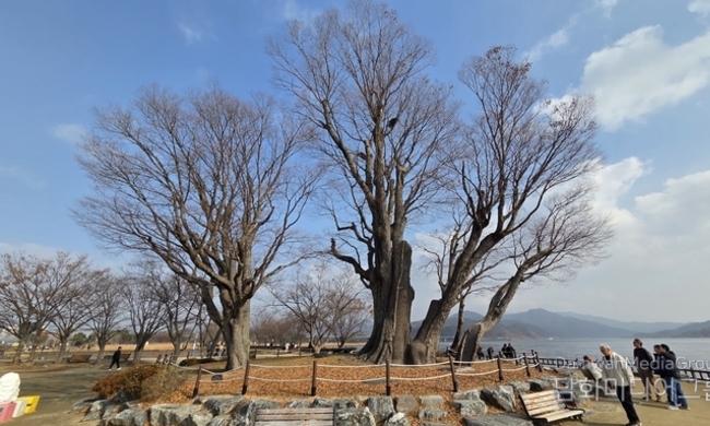 “겨울의 두물머리” 두 강이 만나는 자리에서, 풍경은 이야기가 되고 시간은 멈춘다.