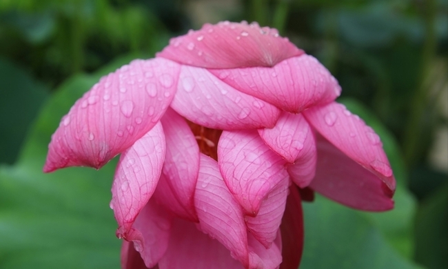 벽사초불정사 "봉안에서 기제사까지, 삶과 다음 생을 잇는 한 자리"
