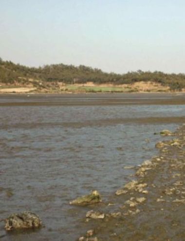 국가유산청, '물때' 국가무형유산 신규 종목 지정