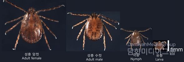 전남도, 4~11월 나들이·농작업 시 긴 소매옷 입으세요