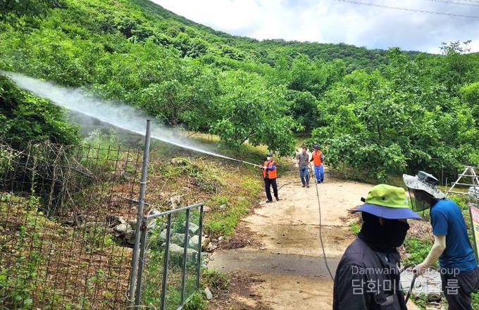 의성군, 여름철 산림병해충 예찰 방제에 총력