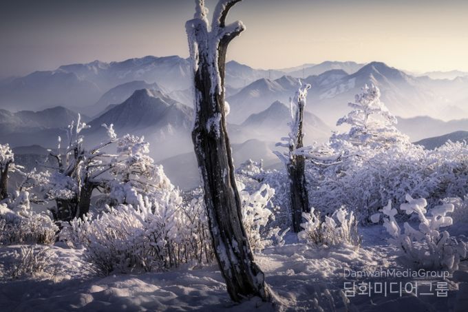 2025년도 제23회 국립공원 사진 공모전 주요 수상작(일반부문1 대상 태백산국립공원 '설경의 태백산' 박정식 作)