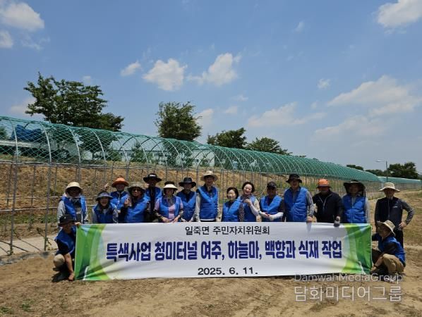 안성시 일죽면 주민자치위원회, 청미천 일원에 특색작물 식재 및 백일홍 꽃밭 조성