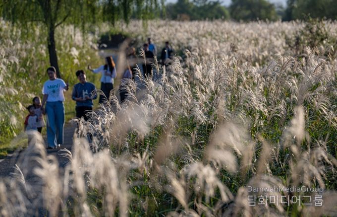 제10회 서창억새축제, 16일 ‘노을 개막식’