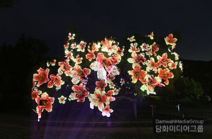 달성군 도동서원 미디어파사트 사진