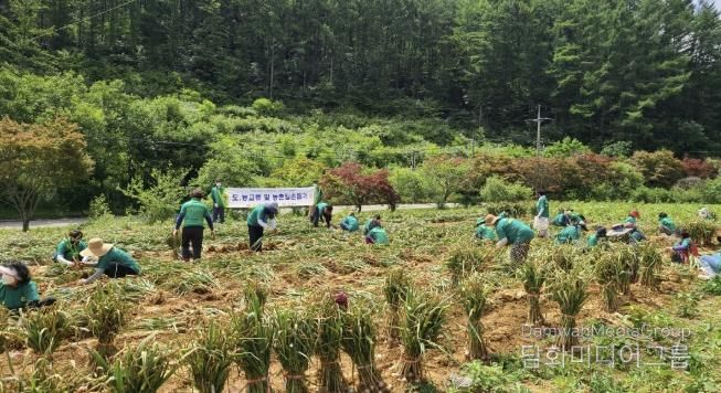 서울새마을부녀회 활동 사진