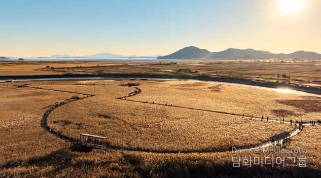 제26회 순천만 갈대축제 개최