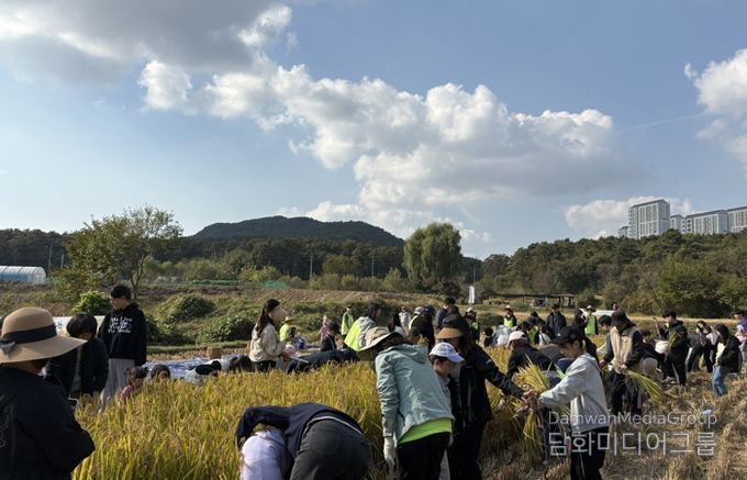 시민과 함께하는 가을걷이 행사에 참여한 시민들이 추수를 하고 있다