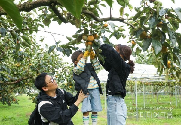 국제농업박람회 풍요의 정원
