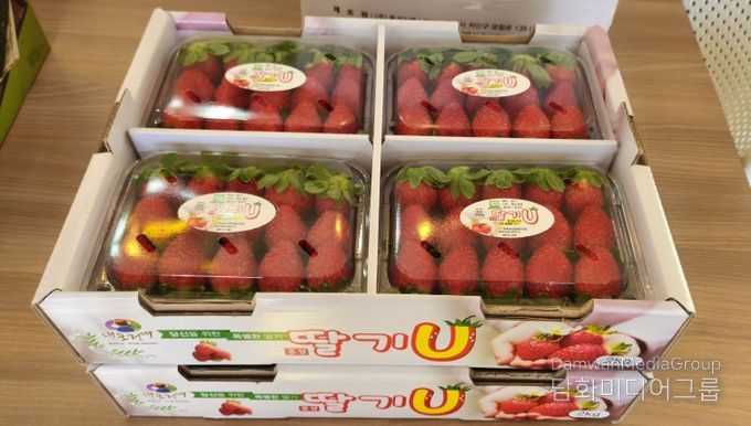 달콤한 시작은 홍성에서...홍성딸기 가락시장 데뷔!