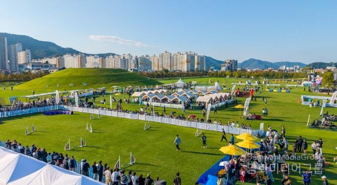 2025년 반려동물 문화한마당 행사장 전경