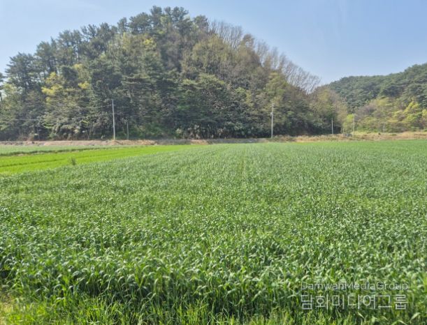울진군, 맥류 종자 적기 파종 지도