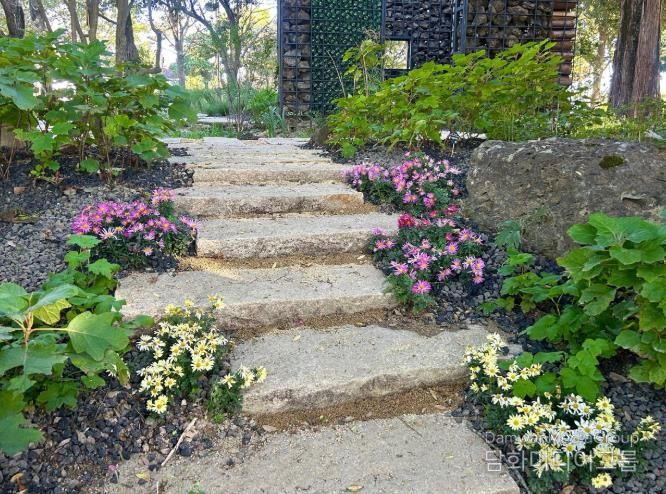 진주시 ‘초전공원’ 가을꽃 식재 ‘눈길’