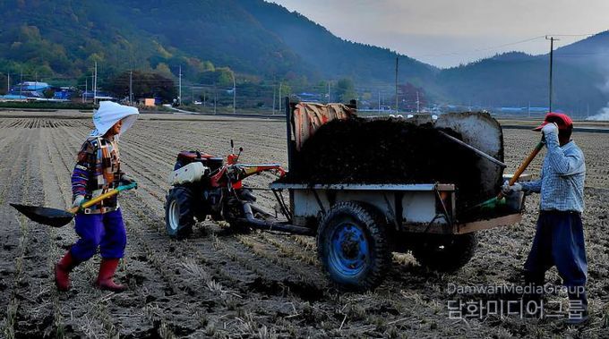 퇴비 살포 사진