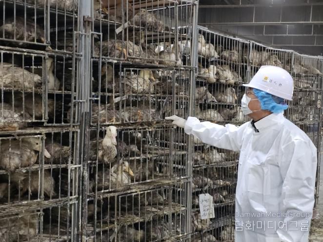 가금 도축장 생체검사 사진