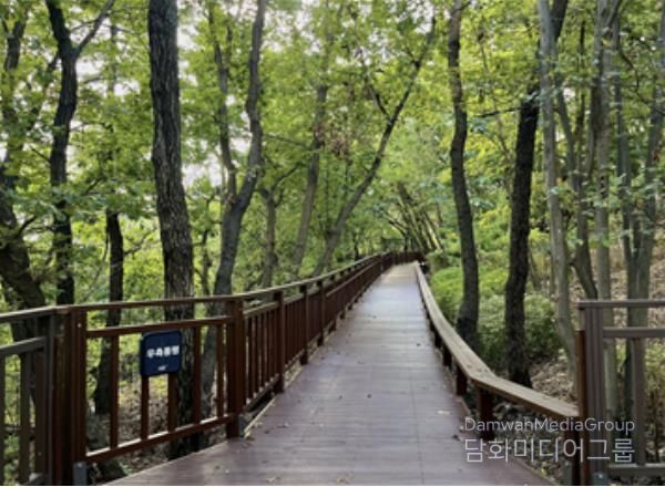 ‘서리풀공원 무장애숲길 연결로’ 조성
