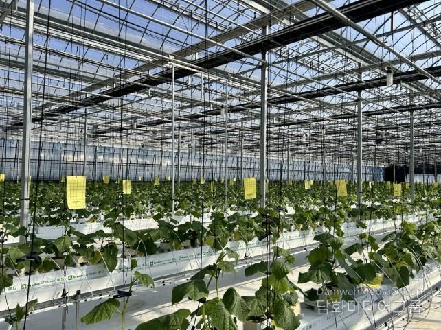 상주시, 농업 현장 맞춤 낮은단계 스마트팜, 실증연구 시작