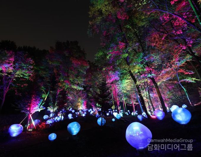 형형색색의 복사꽃 씨앗이 빛나는 도화씨 구간 전경