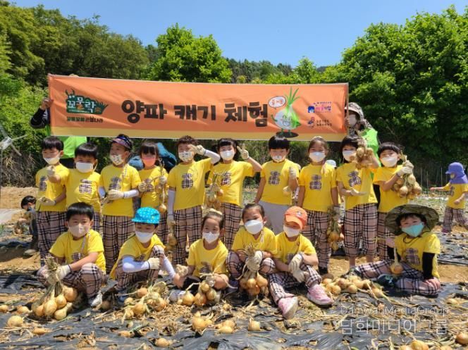 양파 캐기 체험 사진