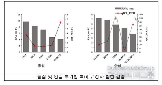 한우 고기 부위별 전사체 분석 결과