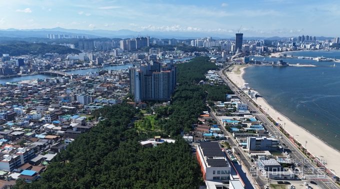 송도솔밭 도시숲 전경