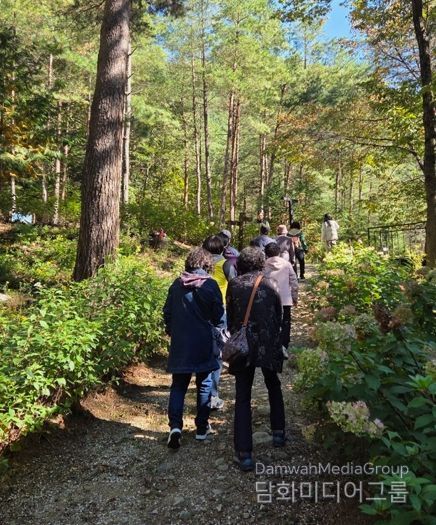 태백시, 치매환자·보호자 야외치유 프로그램 운영