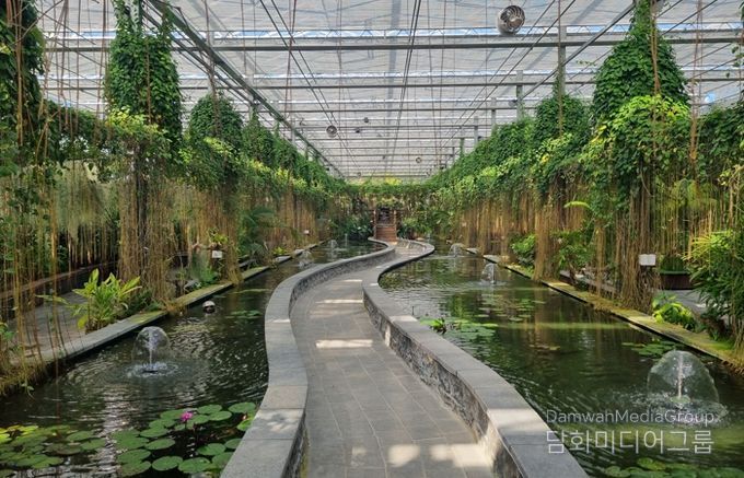 정글 속으로! 함평군 ‘수생식물관’, 이색 연출 인기 만점