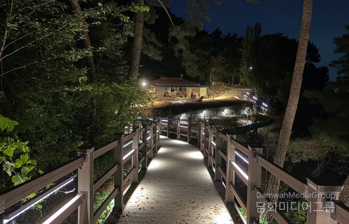 호가정 산책로 야경 사진