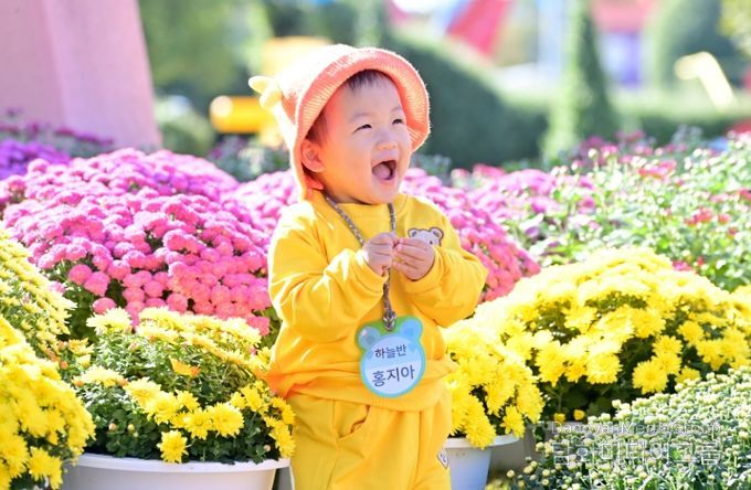 ‘진주국화작품전시회’