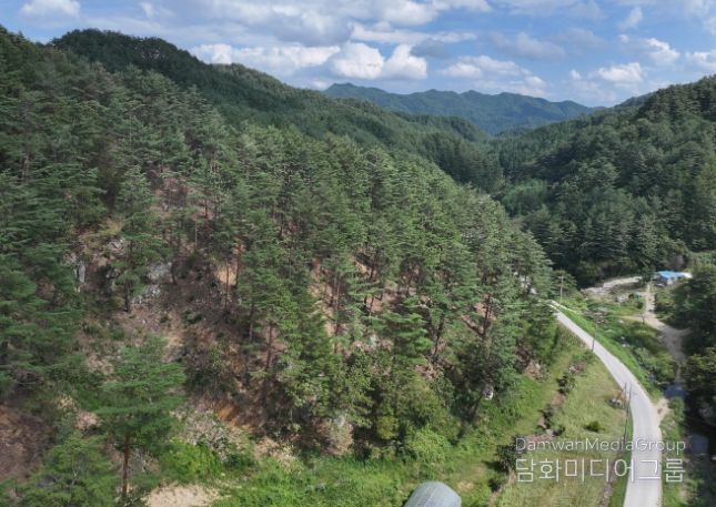 2025년 숲가꾸기 우수 사업지 '우수' 선정