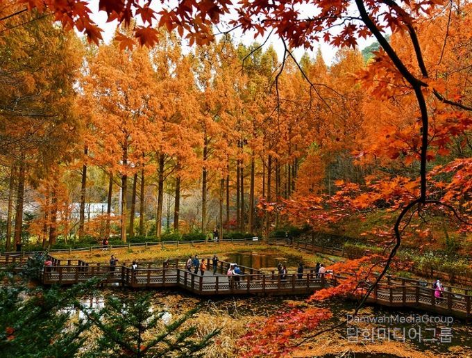 장태산휴양림 한 달간 교통대책 추진