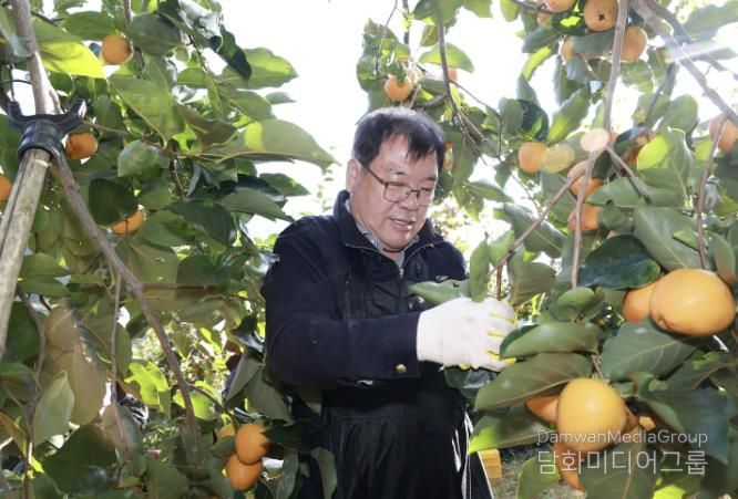 산청군, 농촌 일손 돕기 '구슬땀'