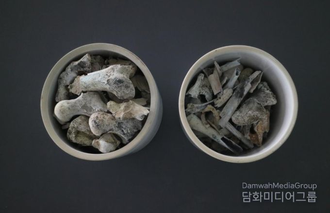 2005년 3월 경상북도 포항시 북구 흥해읍 도음산 정상에서 발굴한 국군 제8사단 10연대 소속의 고(故) 양이한 일병의 유해