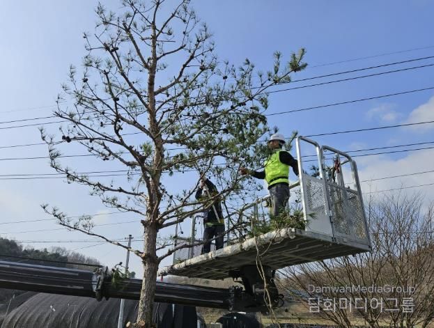 괴산군, ‘동절기 가로수 가지치기’실시… 도심 가로환경 개선
