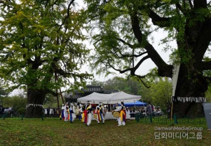 당산나무 할아버지 활동 모습 ‘세종 임난수 은행나무’ 당산제